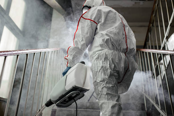 Best Emergency Mold Remediation  in Mvern, AL